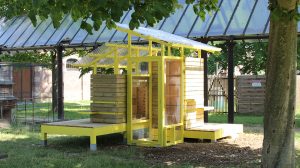 Lire la suite à propos de l’article Le nouveau poulailler de la Ferme du Buisson